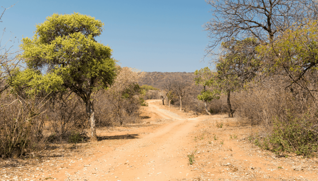 Adventure in the African Desert