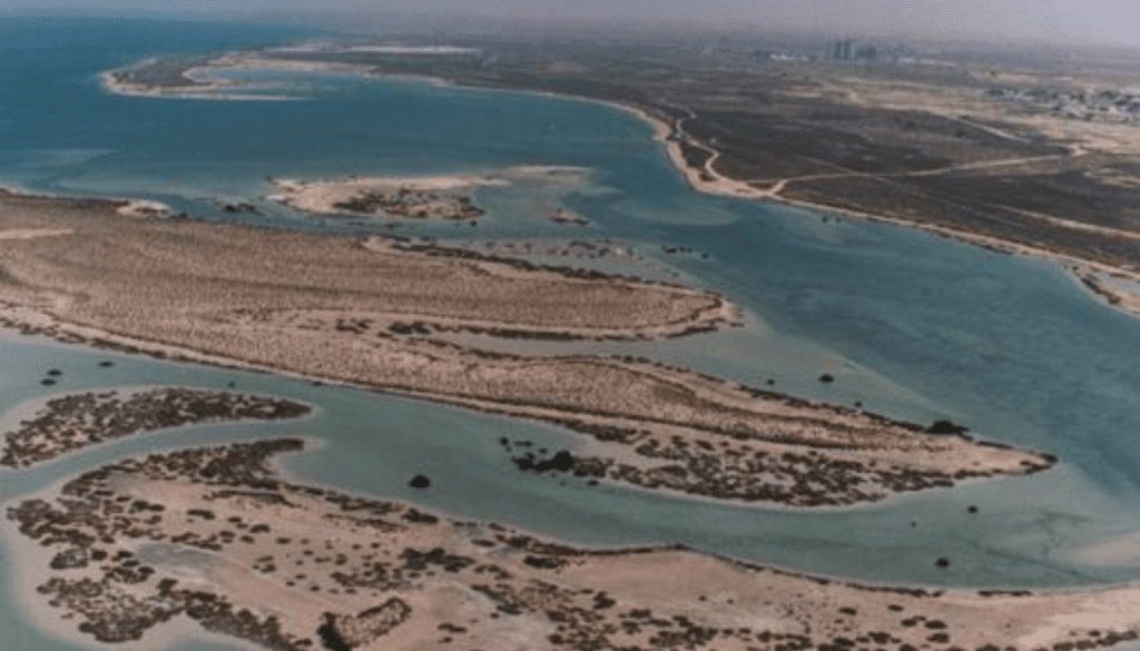 Al Sinniyah Island - A Natural Haven for Birdwatchers