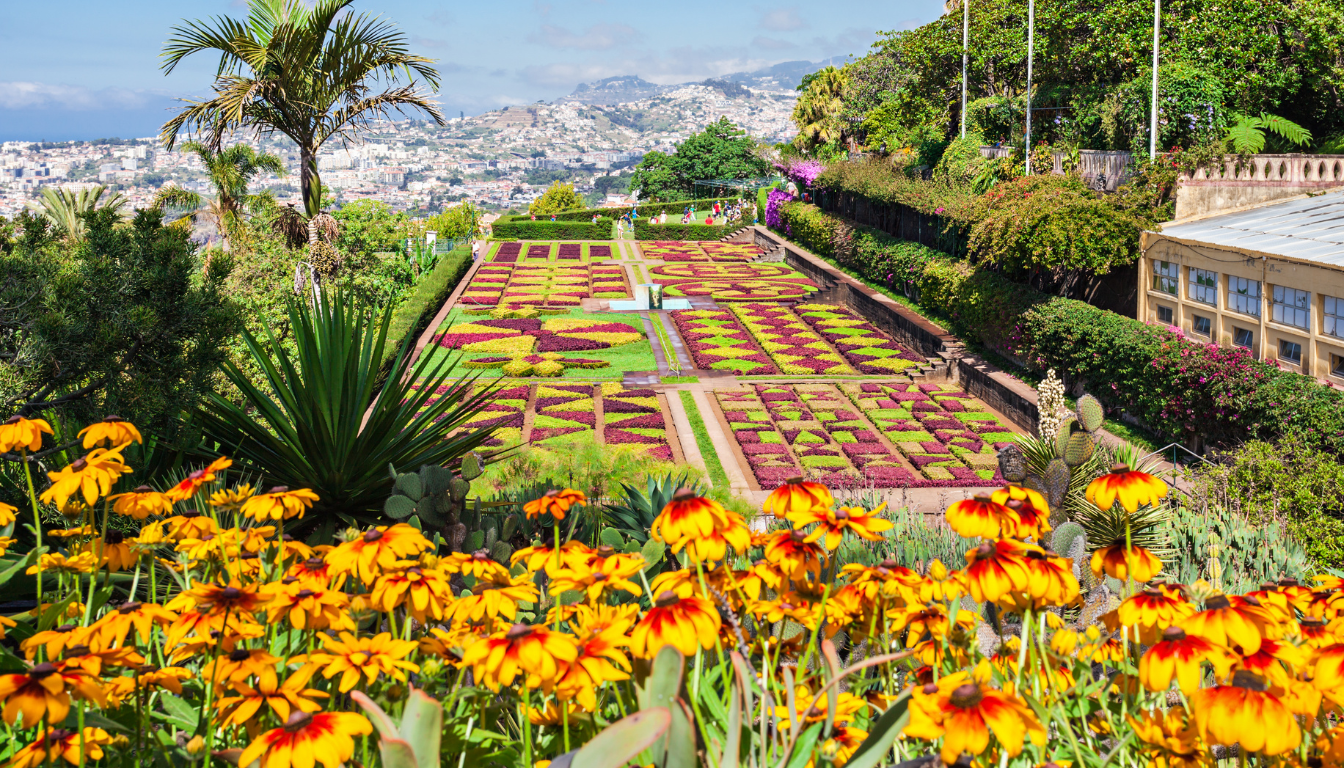 Azores’ Natural Wonders_ Explore the Untamed Beauty