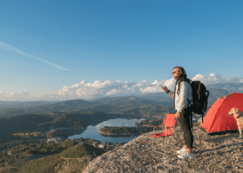 Best Destinations for Travelers with Pets