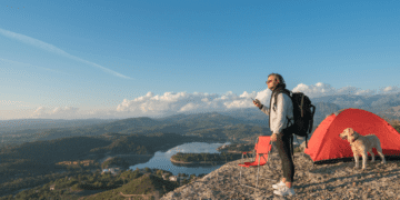 Best Destinations for Travelers with Pets