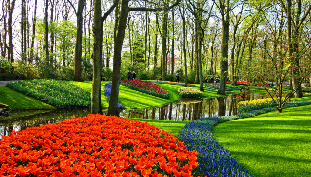 Best Time to Visit the Netherlands