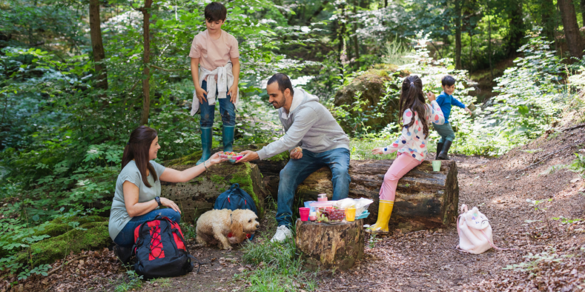 Best Times to Travel_ Perfect Timing for Travelling