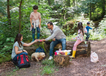 Best Times to Travel_ Perfect Timing for Travelling