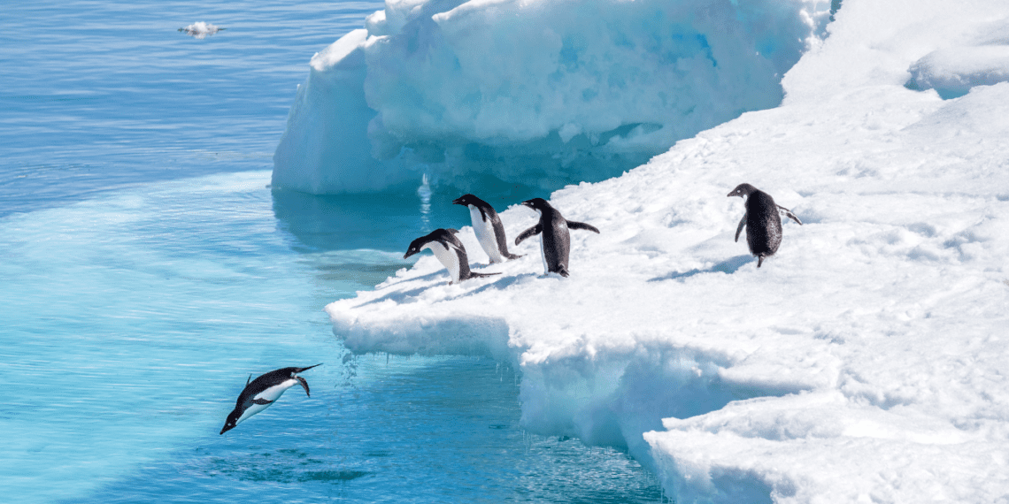 Breathtaking Most Beautiful Places to Visit in Antarctica