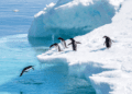 Breathtaking Most Beautiful Places to Visit in Antarctica