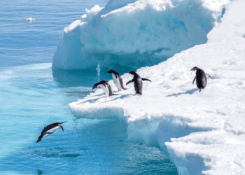 Breathtaking Most Beautiful Places to Visit in Antarctica
