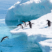 Breathtaking Most Beautiful Places to Visit in Antarctica