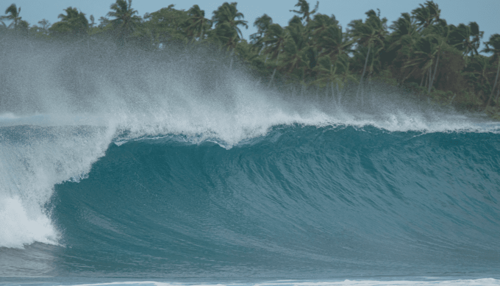 Catch the Wave_ Surfing in Norway