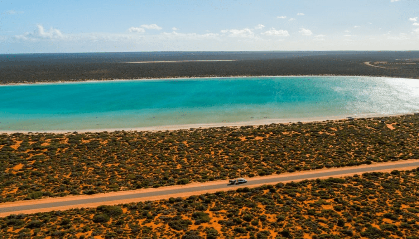 Coral Coast Highway_ Marine Wildlife Encounters