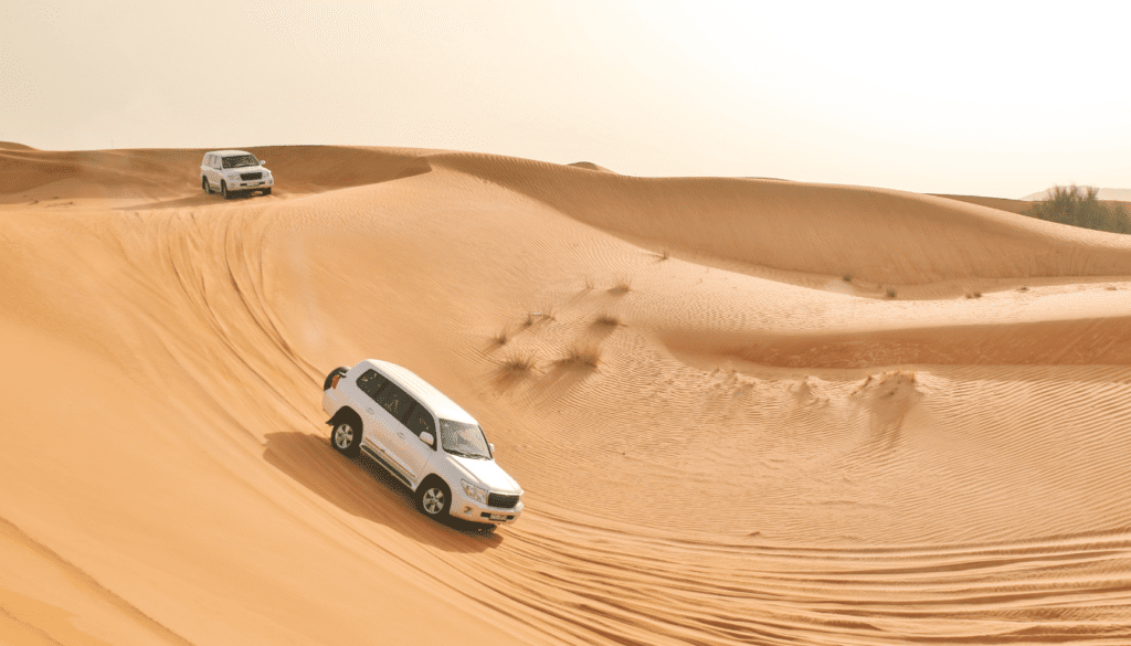 Desert Safari_ Embrace the Arabian Wilderness