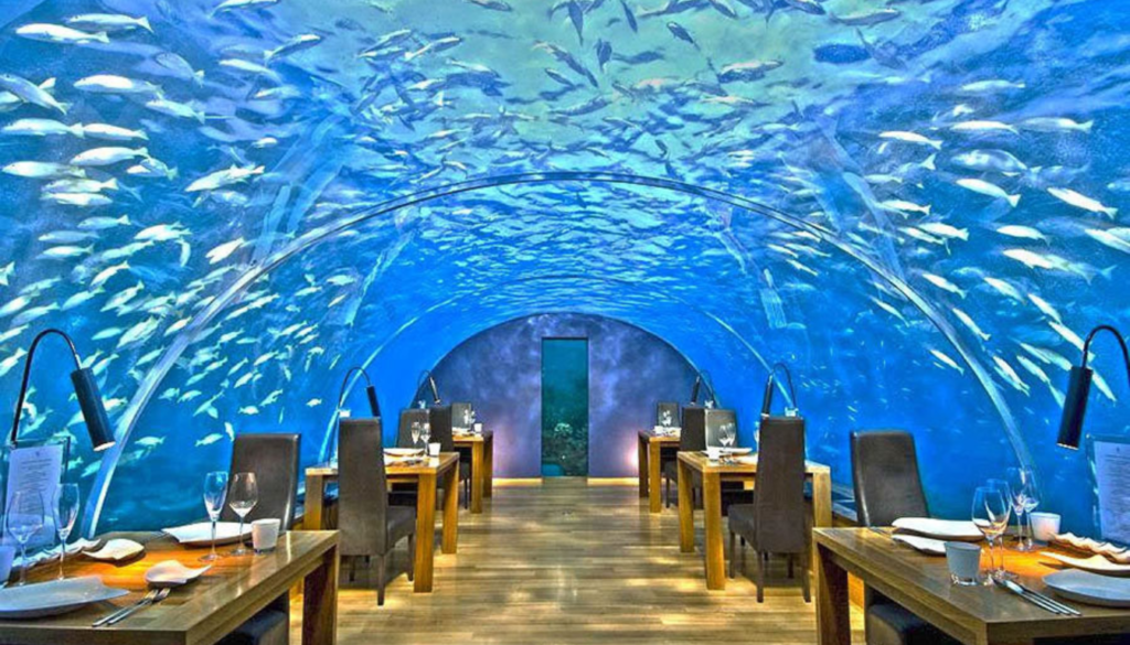 Dine, Drink or Detox Underwater