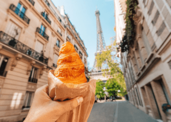 Discover Popular Cuisine in France_ Tasty Delights