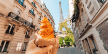 Discover Popular Cuisine in France_ Tasty Delights