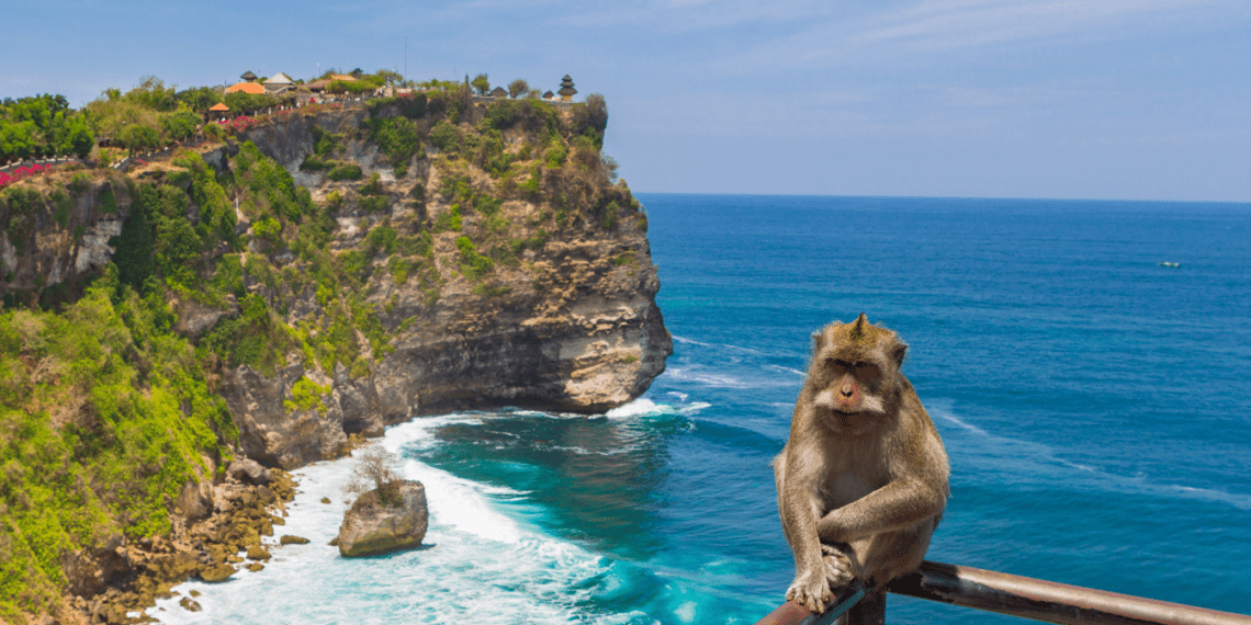 Discover Wildlife Adventures in MalaysiaIndonesia