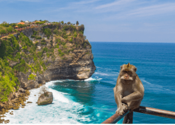 Discover Wildlife Adventures in MalaysiaIndonesia