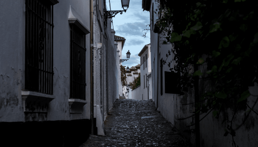 Discover the Historical Albaicín Neighborhood