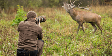 Discover the Wonders of Wildlife Exploration