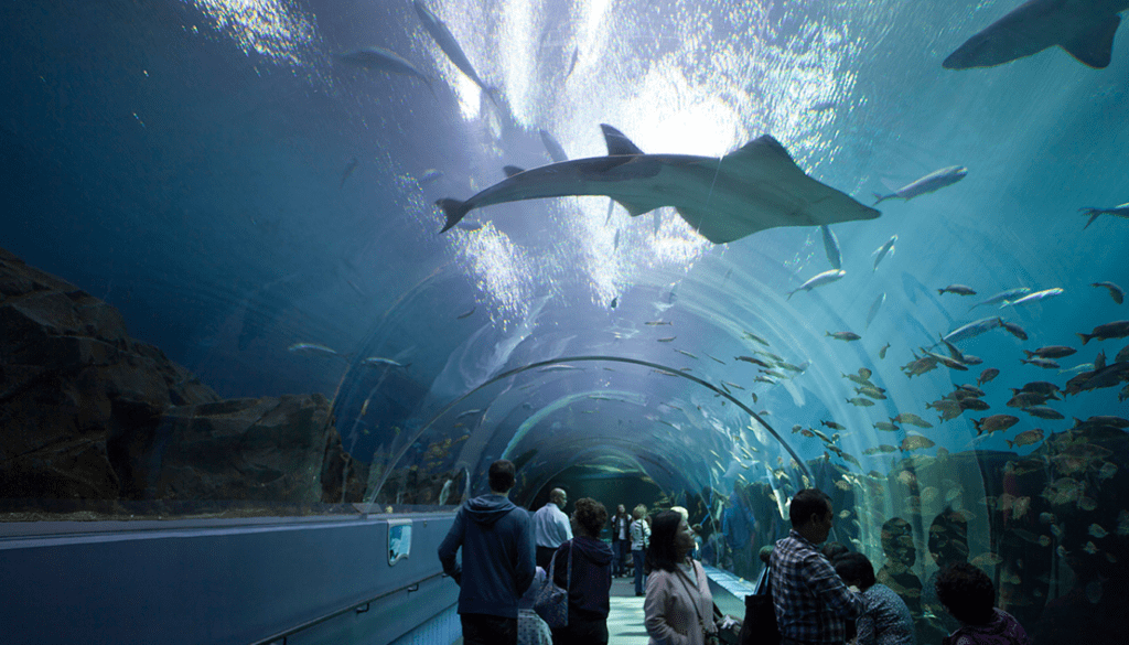 Explore Atlanta's Aquatic Wonders