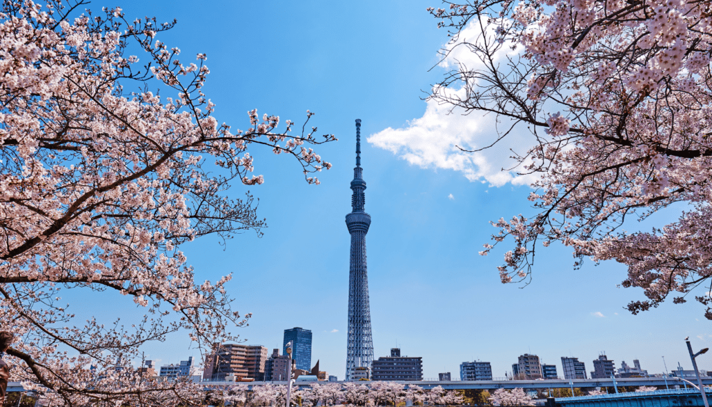 Explore Tokyo's World-Famous Theme Parks