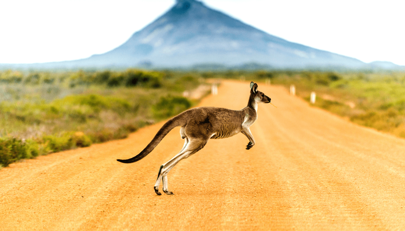 Exploring Australia's Vast Landscapes by Road