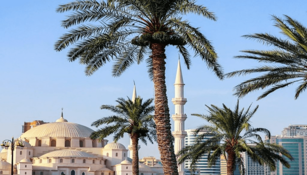 Exploring the Emirate's Cultural Heritage