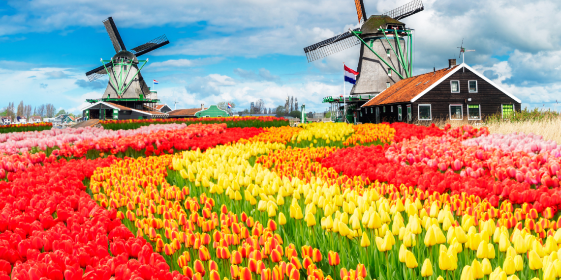 Exploring the Netherlands_ Your Travel Guide
