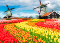 Exploring the Netherlands_ Your Travel Guide