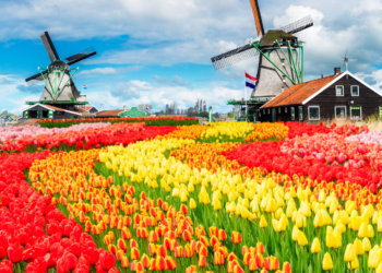 Exploring the Netherlands_ Your Travel Guide
