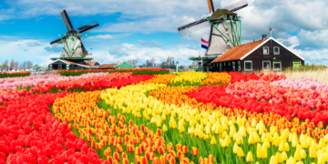 Exploring the Netherlands_ Your Travel Guide