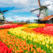 Exploring the Netherlands_ Your Travel Guide
