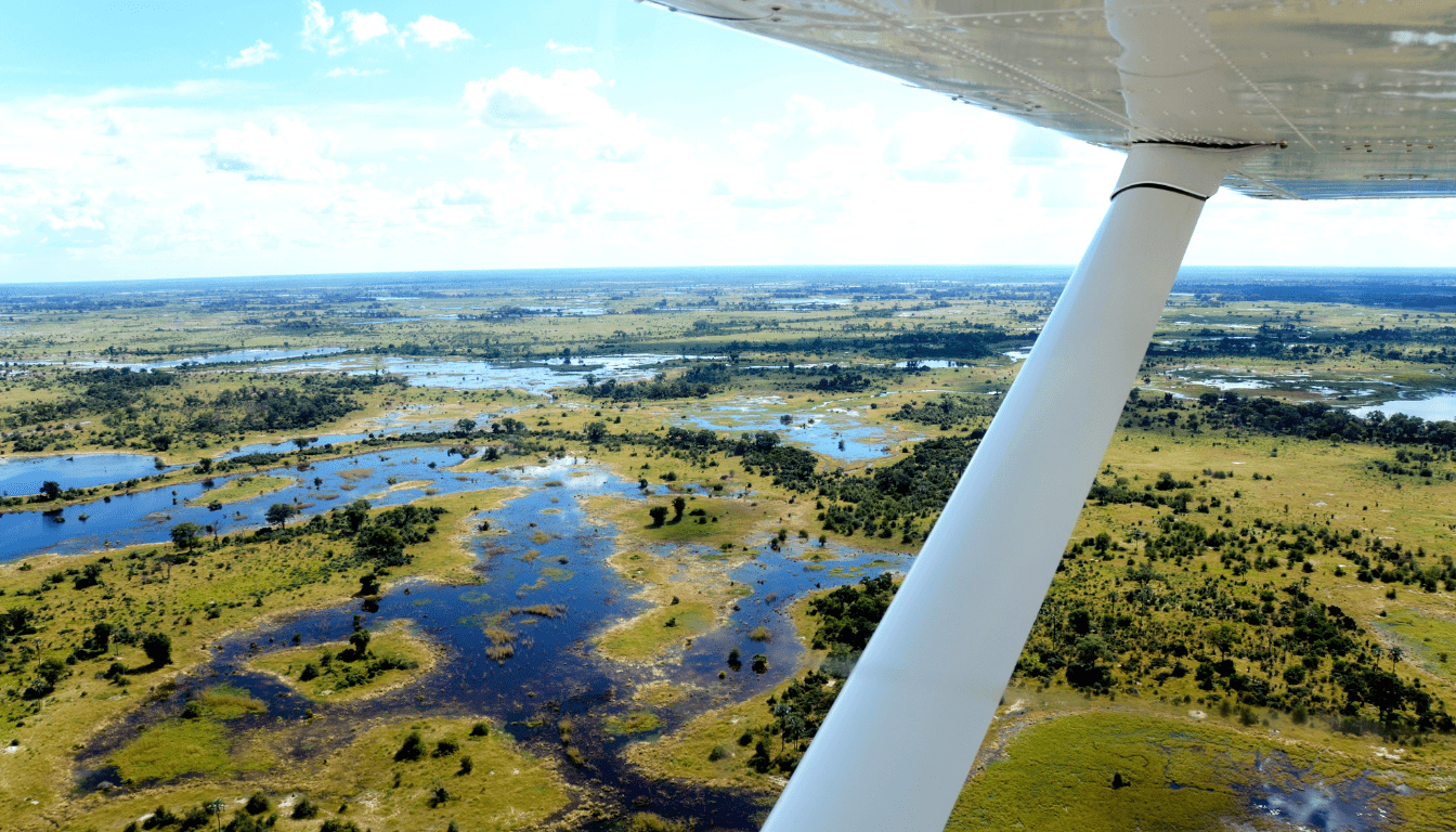 Exploring the Okavango Delta