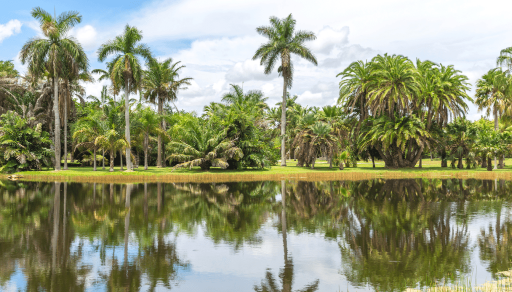 Fairchild Tropical Botanic Garden-Immerse in Nature