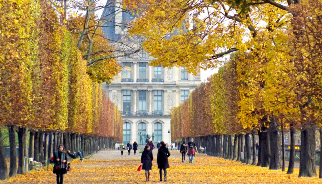 Fall in France (September to October)