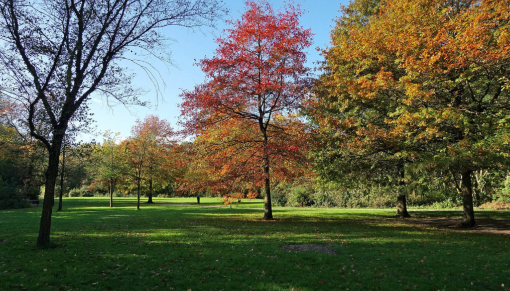 Flevopark_ A Local Favorite for Relaxation