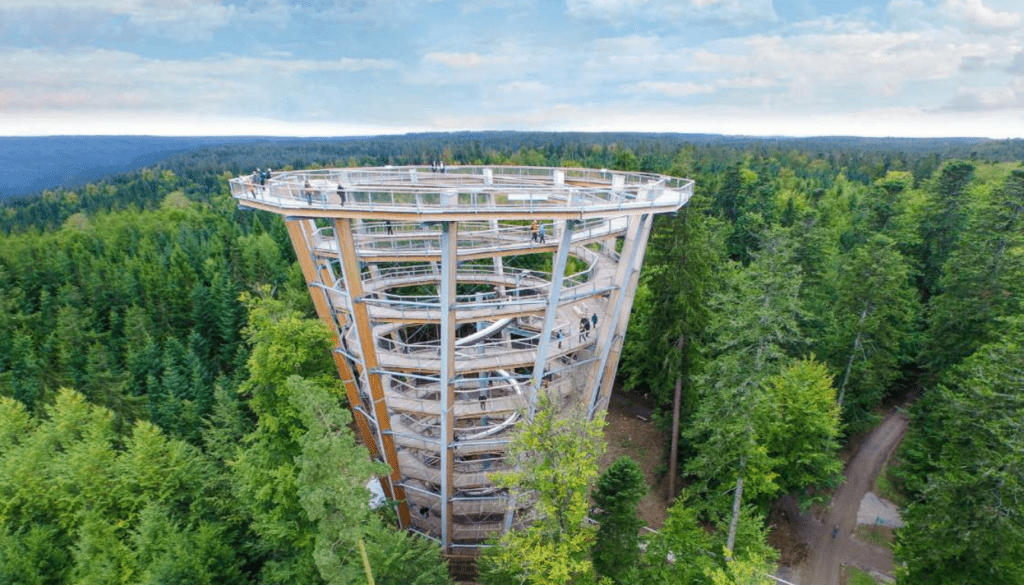 Forest Climbing and Treetop Adventures