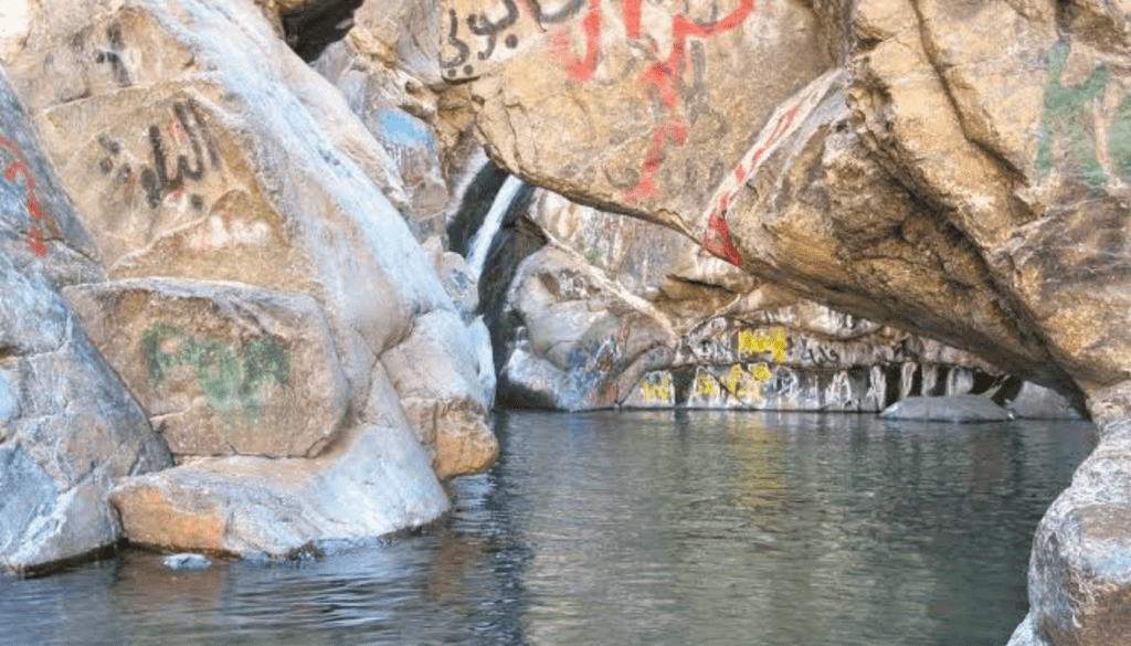 Fujairah's Hidden Gems for Nature Lovers