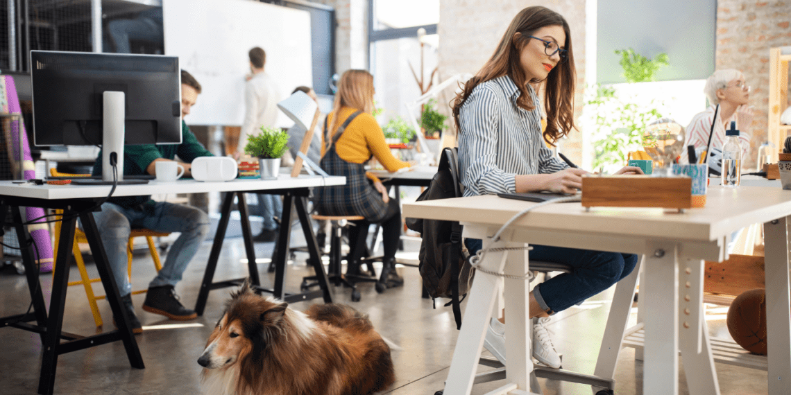 How to find pet-friendly coworking spaces abroad