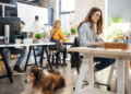 How to find pet-friendly coworking spaces abroad