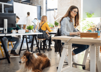 How to find pet-friendly coworking spaces abroad