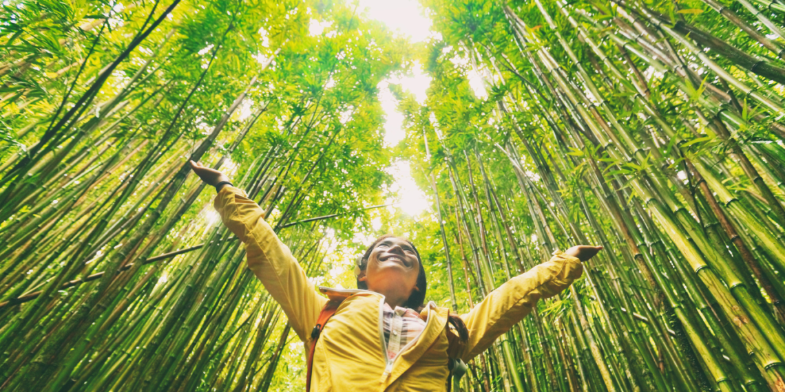 How to travel sustainably tips and gear