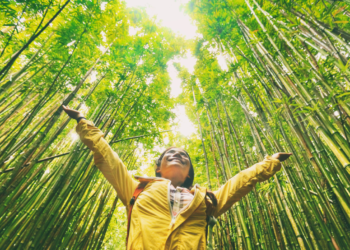 How to travel sustainably tips and gear