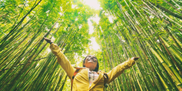 How to travel sustainably tips and gear