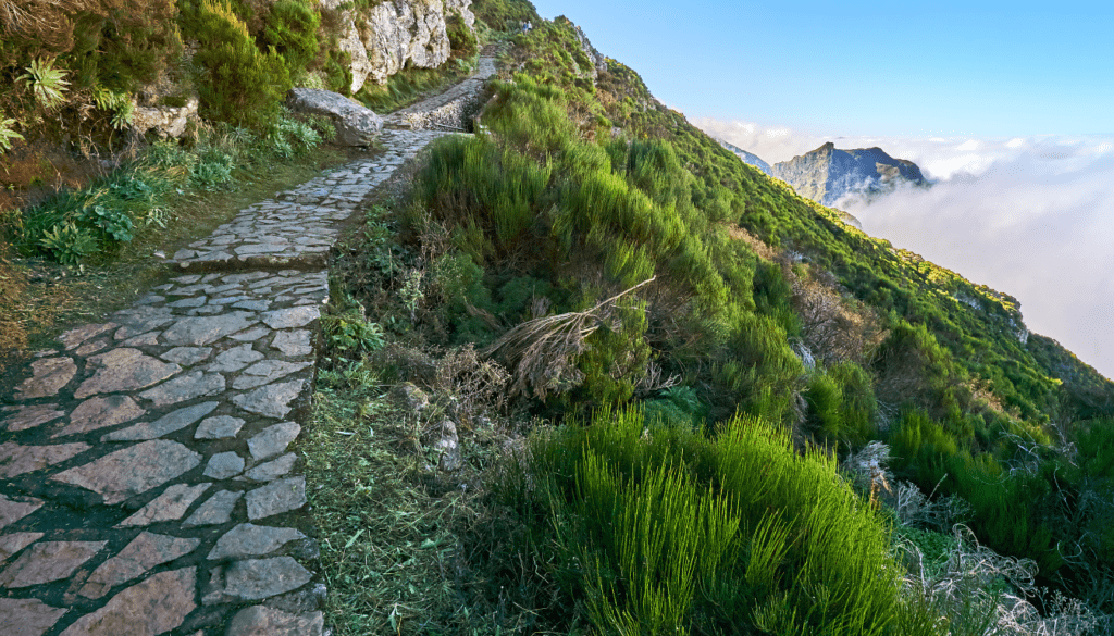 Introduction to Madeira's Hiking Trails