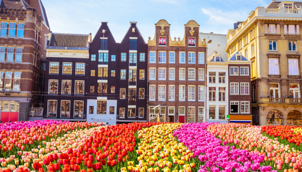 Introduction to Netherlands Travel Safety