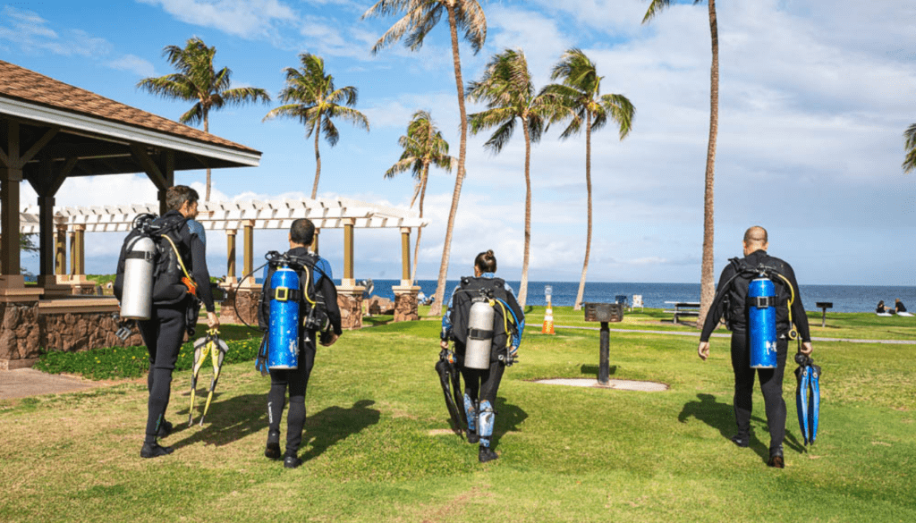 Kahekili (Airport) Beach_ Snorkeling and Whale Watching