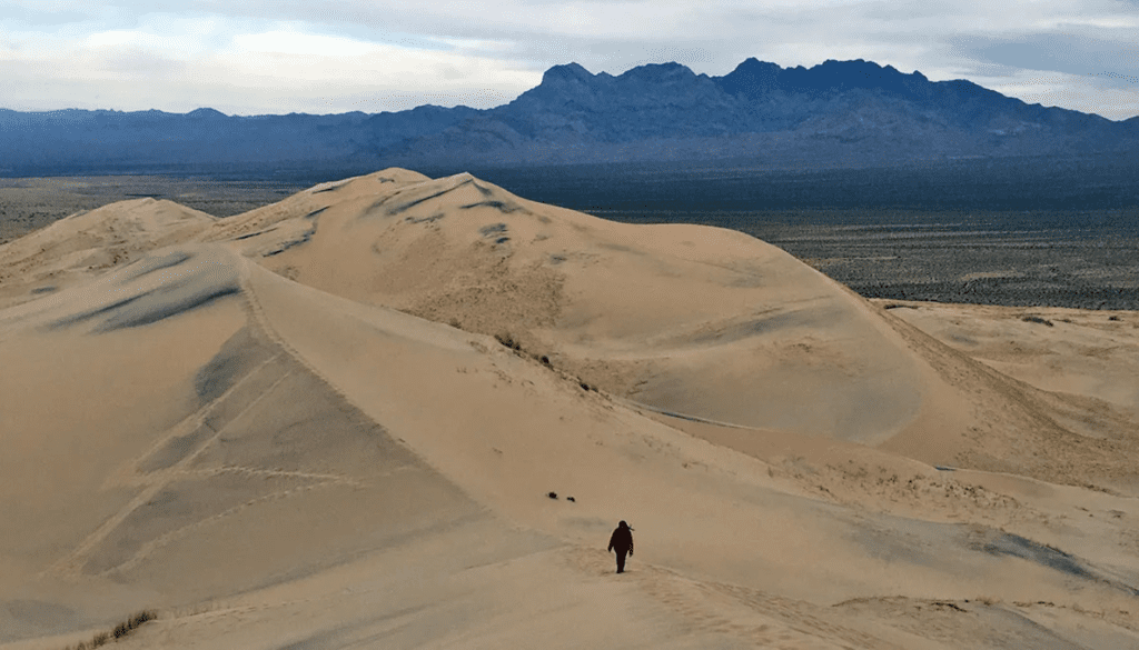 Kelso Dunes