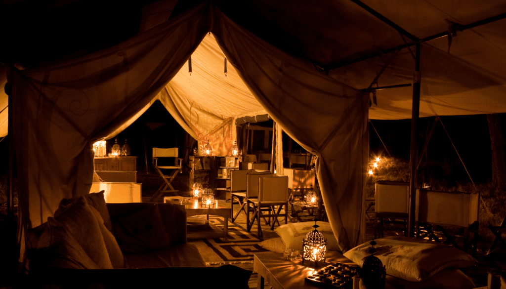 Luxury Safari Experiences in Africa