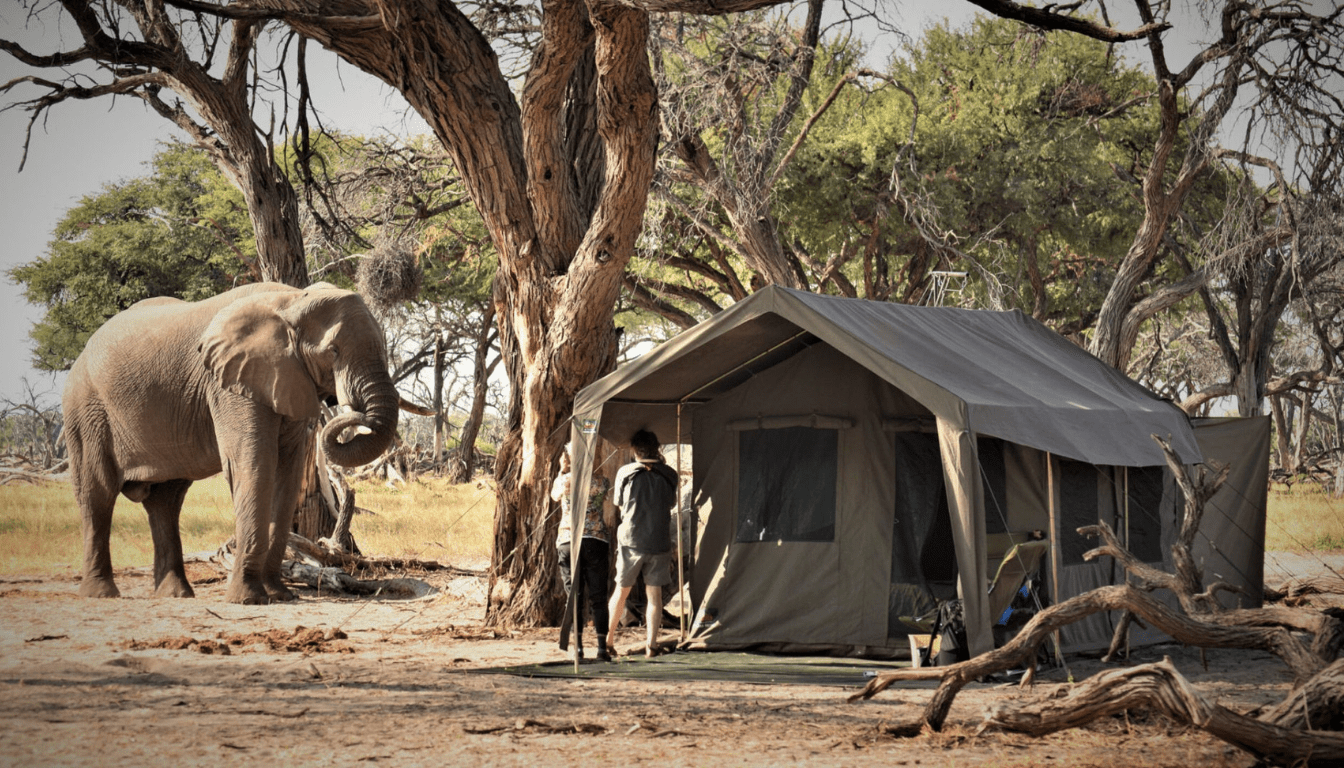 Mobile Camping Safaris_ An Authentic Experience