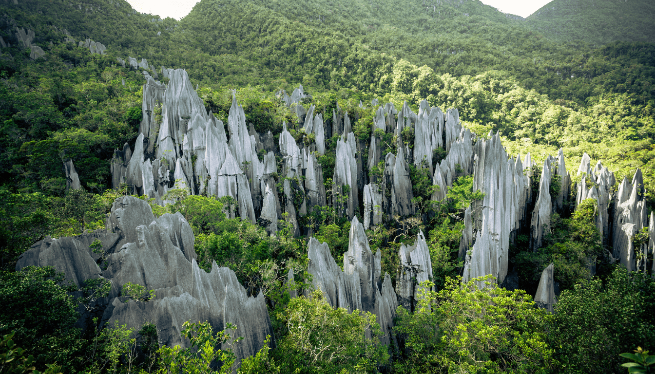 Mulu National Park_ Exploring the Deer Cave and Bat Exodus